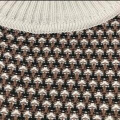 【値下げ】frames RAYCASSINの柄ニットの画像