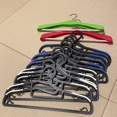 ハンガー14本とドアフックの画像