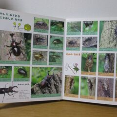 はっけんずかん　むしの画像