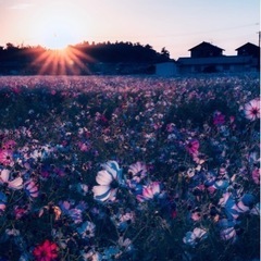 カラオケ🎤♪仲間募集！🍹☕️ − 群馬県