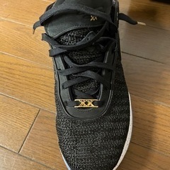 レブロン20 バスケットシューズ　28.5cm 一回使用の画像