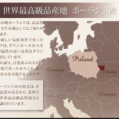 未使用訳あり　日本製　五ッ星　ロイヤルゴールドラベル　ポーランド産ホワイトダックダウン９３％　１，9キロ　キング　アイボリーの画像