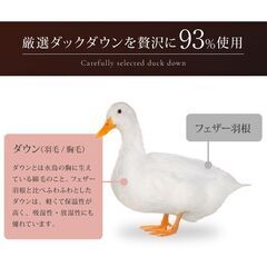 未使用訳あり　日本製　五ッ星　ロイヤルゴールドラベル　ポーランド産ホワイトダックダウン９３％　１，9キロ　キング　ブラックの画像