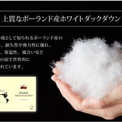 未使用訳あり　日本製　五ッ星　ロイヤルゴールドラベル　ポーランド産ホワイトダックダウン９３％　１，9キロ　キング　ブラックの画像