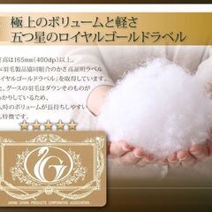 未使用訳あり　日本製　五ッ星　ロイヤルゴールドラベル　ウクライナ産シルバーグースダウン９３％　１，７キロ　クイーン　ブラウンの画像