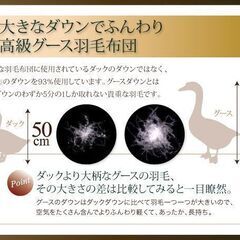 未使用訳あり　日本製　五ッ星　ロイヤルゴールドラベル　ウクライナ産シルバーグースダウン９３％　１，７キロ　クイーン　ブラウンの画像