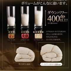 未使用訳あり　日本製　五ッ星　ロイヤルゴールドラベル　ウクライナ産シルバーグースダウン９３％　１，７キロ　クイーン　ブラウンの画像