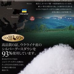 未使用訳あり　日本製　五ッ星　ロイヤルゴールドラベル　ウクライナ産シルバーグースダウン９３％　１，７キロ　クイーン　ブラウンの画像