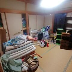 フランスベッド  大人用紙おむつ 寝具 洗剤 AAAの画像