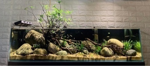 オールガラス　水槽135x45x30