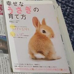 うさぎの飼育本