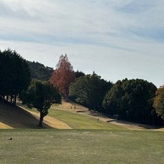 ゴルフ楽しみましょう🏌️‍♀️⛳️