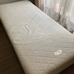 アクタスシングルバッド