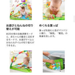 レインフォレスト・デラックスジムII 知育玩具