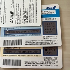 ANA株主優待