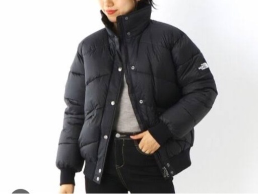 【商談中】正規品　ザノースフェイス✴︎ラークスパーライトジャケット