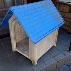 犬小屋【決定】