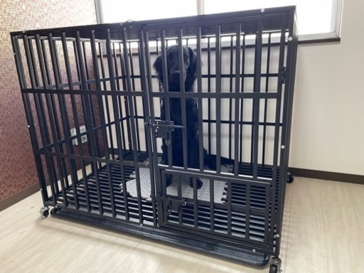 犬用ケージ　スチール製　大型犬ケージ