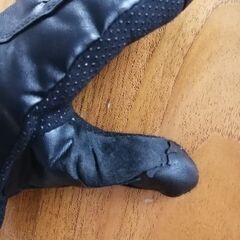 電熱グローブ ヒーターグローブ　Ｌサイズの画像