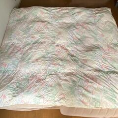 西川のふとん　羽毛布団　ダブル　ダウン95％　フェザー5％　冬用