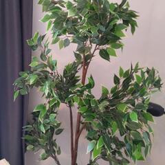 観葉植物(造花)【譲渡者決定】