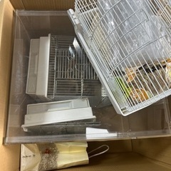 文鳥飼育セット【早く手放したいので…無料にしました】