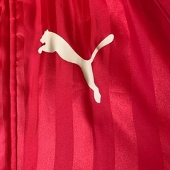 PUMAベンチコート　赤　フード付き【150サイズ】の画像
