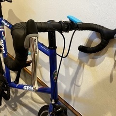 GIOS FELUCA PISTAミニベロロードの画像