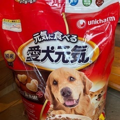 ドッグフード各種の画像