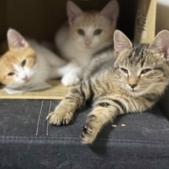 家の庭に親子で来てくれました。