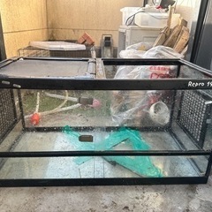 愛知県 名古屋市の爬虫類ケージの中古が安い！激安で譲ります・無料で