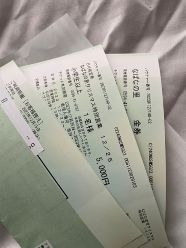 なばなの里 クリスマス 12/25 2名分