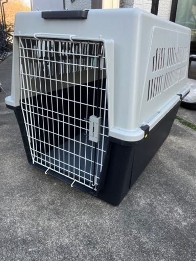 犬のゲージ