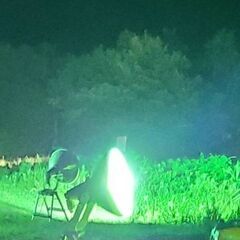 【配送も可】天然オオクワガタ ♂♀♀♀ 4匹 山形県産の画像