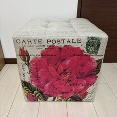 【決まりました】 Francfrancスツール