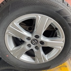 お譲り先、決まりました！！
