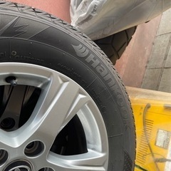 お譲り先、決まりました！！の画像