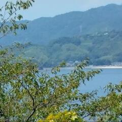 高台海一望