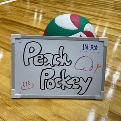 硬式バレーメンバー募集