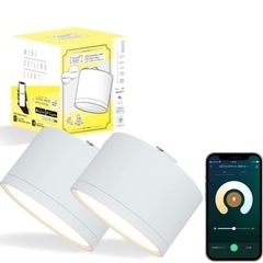 【Amazon Alexa対応】エジソンスマート ミニシーリングライト