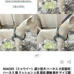 半額！新品 小型犬猫用ハーネスXSサイズ（胸囲26〜31cm適正体重1.5〜3kg）&リード（150）の画像