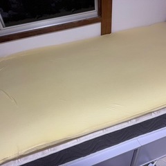 トゥルースリーパーお譲りします