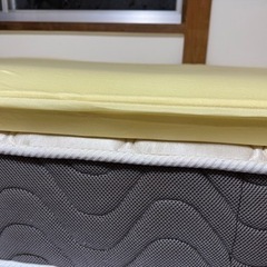 トゥルースリーパーお譲りしますの画像