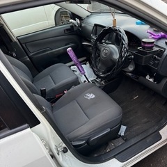 サクシードバンの画像