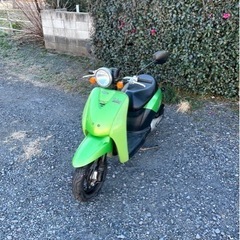 706. 動画あり　ホンダ　AF61 トゥデイ 原付　バイク　5...