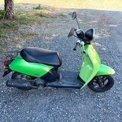 706. 動画あり　ホンダ　AF61 トゥデイ 原付　バイク　50cc   車体　埼玉の画像