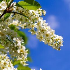 【20～30代限定】"本当にやりたいこと"を仕事にしませんか？🍀...