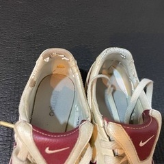 ティエンポの画像