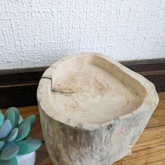 流木ケースの画像
