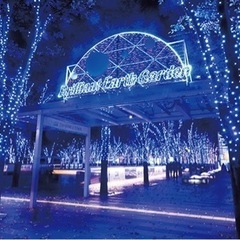 【12/26】　新都心にイルミネーションを見に行こう🎄